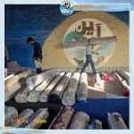 قالیشویی آیدین،شستشوی انواع فرش های ابریشم ،گل ابریشم و دستباف و ماشینی با ضمانتنامه کتبی