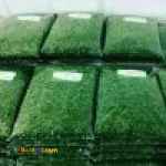 فروش سبزی آماده،سبزی خشک ، سبزی خورشتی،سبزی آش،سبزی دلمه