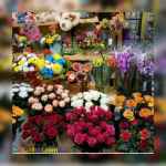 پیش فروش غرفه های 18 متری بازار گل و گیاه (عباس آباد)