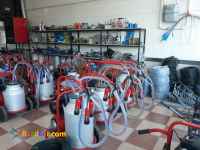 شیردوش برقی گاوی و گوسفندی