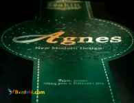 آلبوم کاغذ دیواری اگنس از تکین دکور 