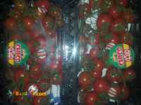 فروش انواع محصولات کشاورزی در بسته بندی های شیک