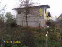 فروش زمین 10000 متر شالیزار لنگرود