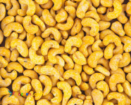 فروش بادام هندی