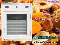 میوه‌خشک‌کن‌اتوماتیک