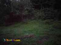 فروش زمین 3500 متری با پروانه ساخت اطاقور