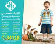 بهترین قالیشویی در کرج