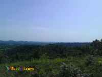 فروش زمین باغ 2 هکتاری طرح هادی گیلان 