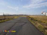 فروش شالیزار 6000 متری لنگرود