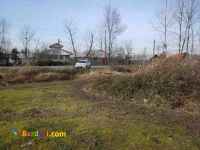 فروش زمین شالیزار 6 هکتاری بر اتوبان سیاهکل