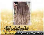 رنگ و مش کار خوب در شمال تهران