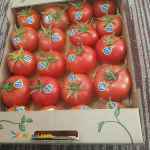 فروش محصولات کشاورزی