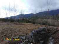 فروش زمین ۲۷۴۵ متر با سند تکبرگ رانکوه