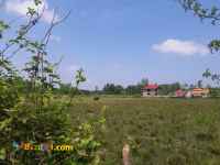 فروش زمین 22467 متری شهرک سازی گیلان 