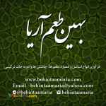 شرکت بهین طعم آریا فرآوری انواع اسانس و عصاره