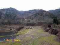 فروش باغ چای 3 هکتاری سند دار املش