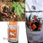 کود پلیت مرغی