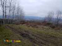 فروش باغ 2 هکتاری طرح هادی با سند اطاقور