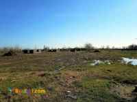 فروش زمین 20 هکتاری با سند در گیلان