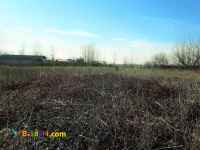 فروش زمین 21 هزار متری آستانه