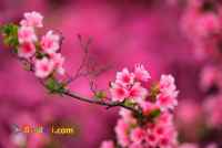 خریدوفروش انواع شرکت ورتبه اماده