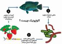 دوره آموزشی کشت آکواپونیک