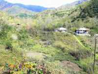 فروش ویلا باغ سنتی 4000 متر اطاقور