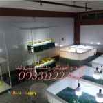 آموزش تولید جلبک اسپیرولینا 