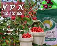 کود ۳۰-۱۲-۱۲