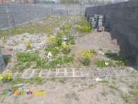 زمین مسکونی ۲۳۰متری در منطقه آزاد انزلی سنددار