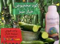 کود مخصوص خیار سبز