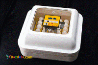 دستگاه جوجه کشی خانگی اتوماتیک ساخت کشور کره