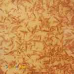 ارتمیا زنده