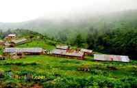 تور 2.5 روزه ماسال