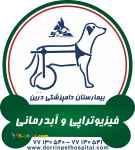 فیزیو تراپی و آبدرمانی حیوانات خانگی   بیمارستان دامپزشکی درین 