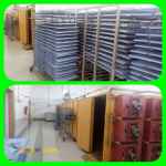 فروش گل گاوزبان خشک ارگانیک