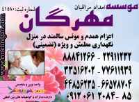 مراقب و پرستار سالمند درمنزل با گواهینامه های بین المللی 