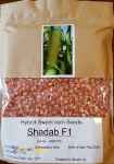 فروش بذر ذرت شیرین رقم SHADAB