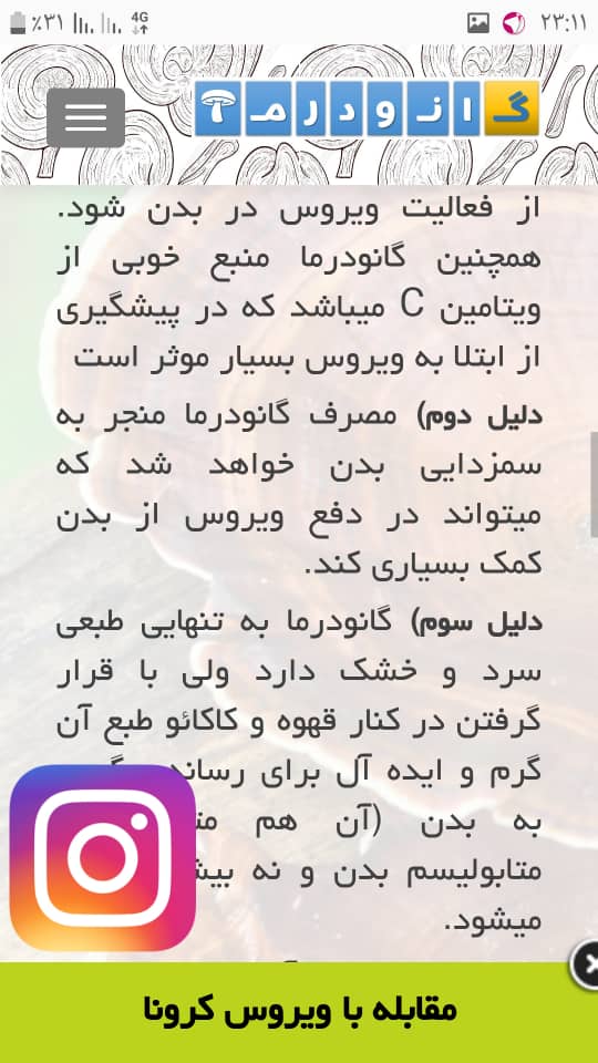 مرکز مشاوره تخصصی و فروش تمامی محصولات قارچ گانودرما اصل در تهران | قهوه گانودرما | پودر قارچ گانودرما | قرص گانودرما | کپسول گانودرما | قارچ گانودرما