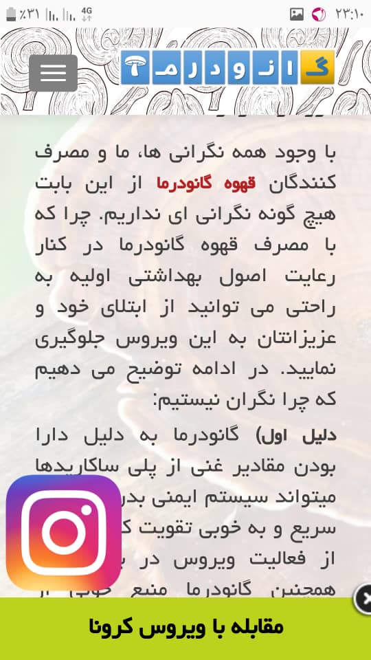 مرکز مشاوره تخصصی و فروش تمامی محصولات قارچ گانودرما اصل در تهران | قهوه گانودرما | پودر قارچ گانودرما | قرص گانودرما | کپسول گانودرما | قارچ گانودرما